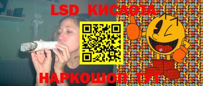 крисы Долгопрудный