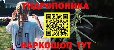 крисы Долгопрудный